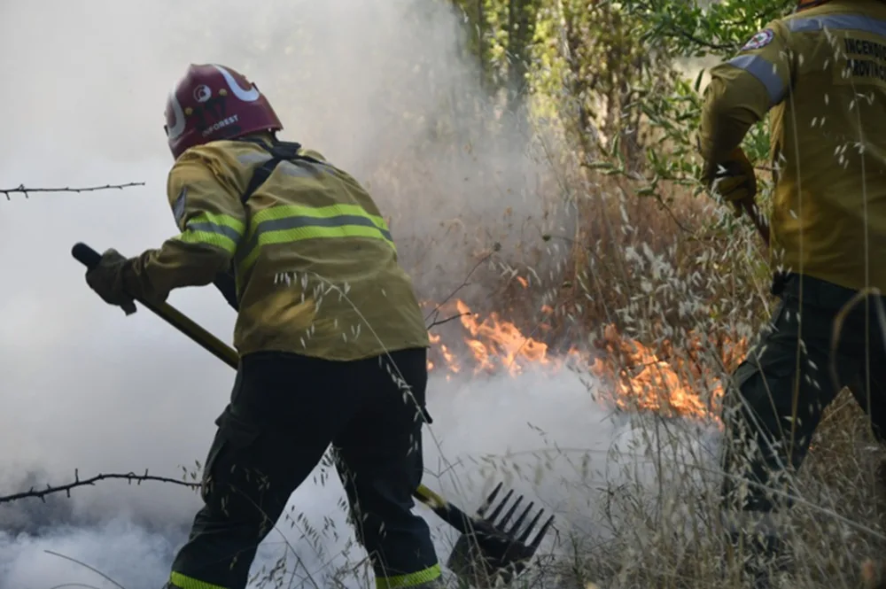 En el sur de América del Sur hubo un fuerte aumento de condiciones que favorecen los incendios forestales y de campo.