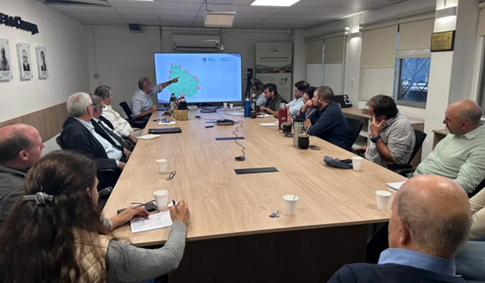 Ingreso ilegal de mercadería se incrementó un 28%