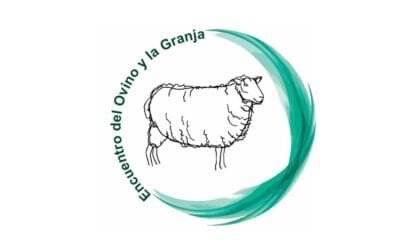 Jacqueline Cachi: La presencia de ovinos en Melilla crece todos los años y es impresionante.