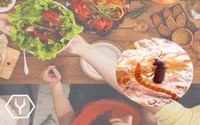 En Francia constatan uso de dinero públicos para impulsar la fracasada industria de los insectos.