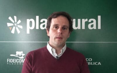 Alta demanda y escasa oferta tensionan el mercado ganadero.