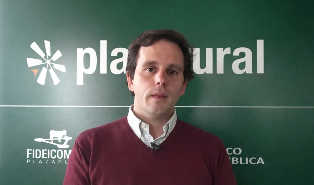 Alta demanda y escasa oferta tensionan el mercado ganadero.