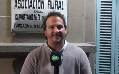 Firmeza y suba de valores en el mercado de haciendas.