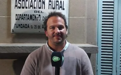 Firmeza y suba de valores en el mercado de haciendas.