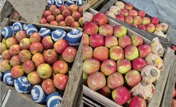 Temporada completa: el mercado local suma todas las variedades de manzana