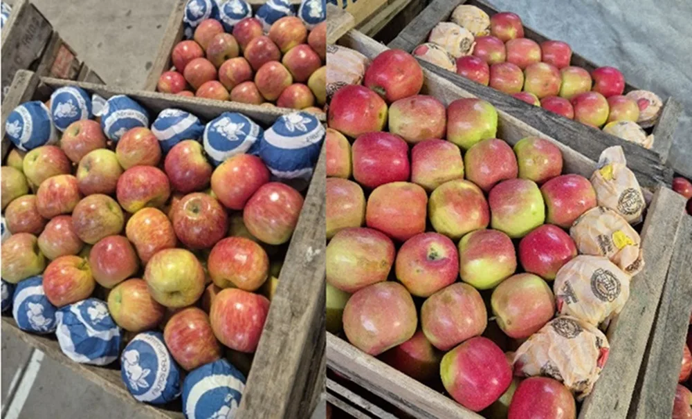 Mercado local: se completa el abanico de variedades de manzana.