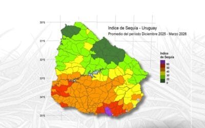 Jornada de INIA y el IPA sobre decisiones en un momento de contrastes de pasto disponible.
