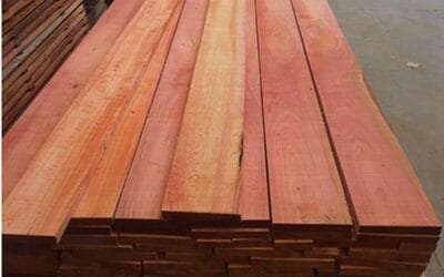 Paraguay fortalece su comercio forestal.