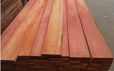 Paraguay fortalece su comercio forestal.