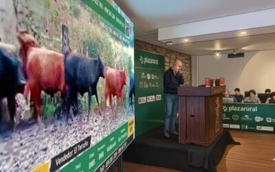 En un remate ágil, Plaza Rural vendió el 98% de la oferta y cerró antes de la hora planeada.  