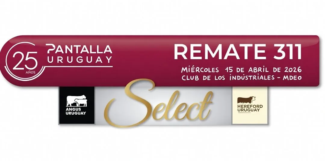 Esta semana Pantalla Uruguay realizará los remates 311 y 312 con destacada oferta.