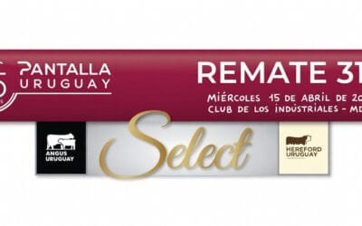 Esta semana Pantalla Uruguay realizará los remates 311 y 312 con destacada oferta.