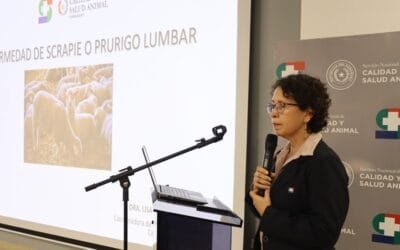 Paraguay asegura no tener casos de scrapie.