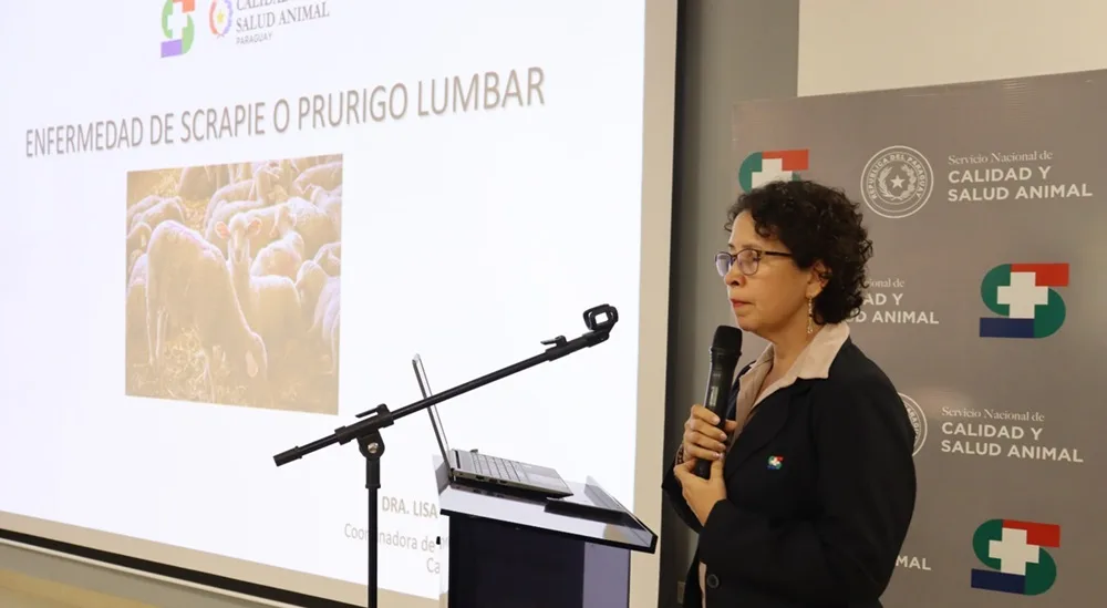 Paraguay asegura no tener casos de scrapie.