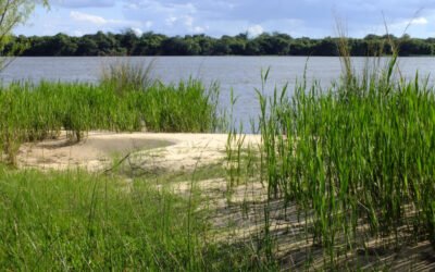 Se amplia las áreas protegidas