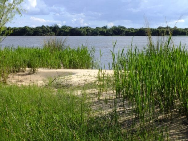 Uruguay suma territorio protegido: ¿qué zonas quedan bajo resguardo?