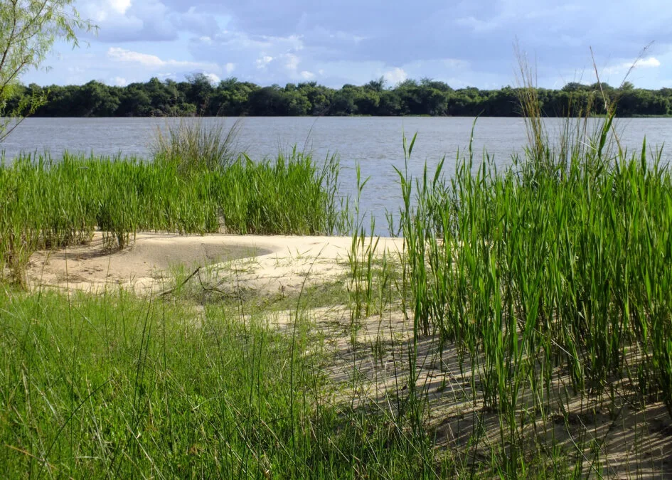 Se amplia las áreas protegidas