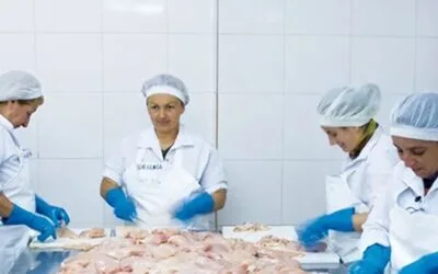 El pollo nacional es el único que se comercializa fresco.