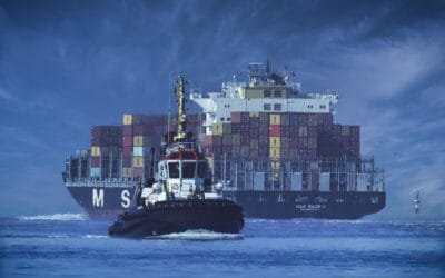 Luces y sombras del cupo chino: Uruguay enfrenta nuevos límites en su principal mercado.