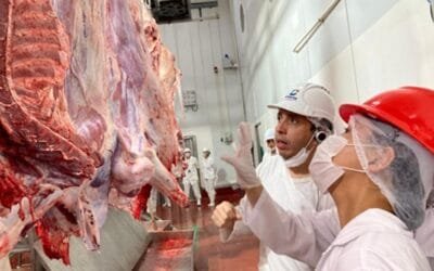 Paraguay. Exportaciones de carne de vacuno llegaron a los 69,3 millones de kg en el primer trimestre.