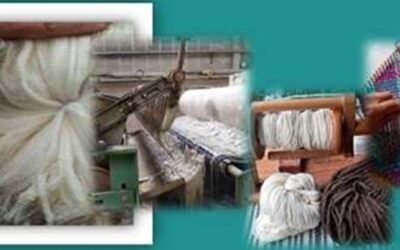 Recomendaciones de abril para productores ovinos y un curso imperdible.