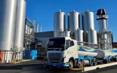 Retroceso en las leches en polvo