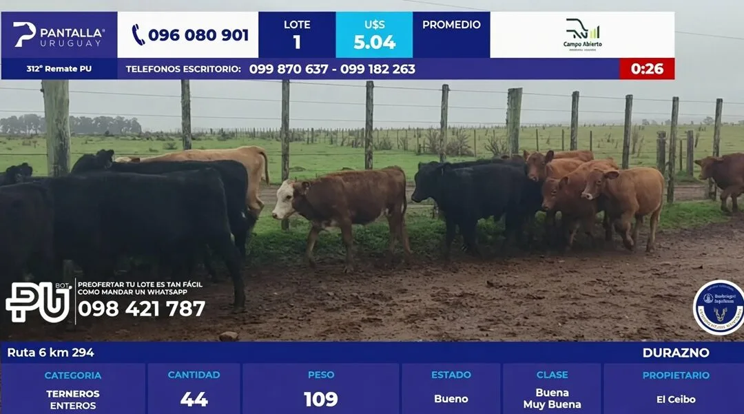 Pantalla Uruguay vendió el 97,6%.