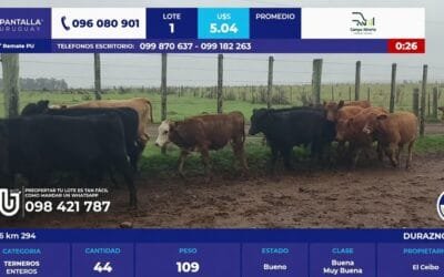 Pantalla Uruguay vendió el 97,6%.