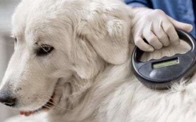 INBA. Abren inscripciones para el curso de Operador Renac para veterinarios.