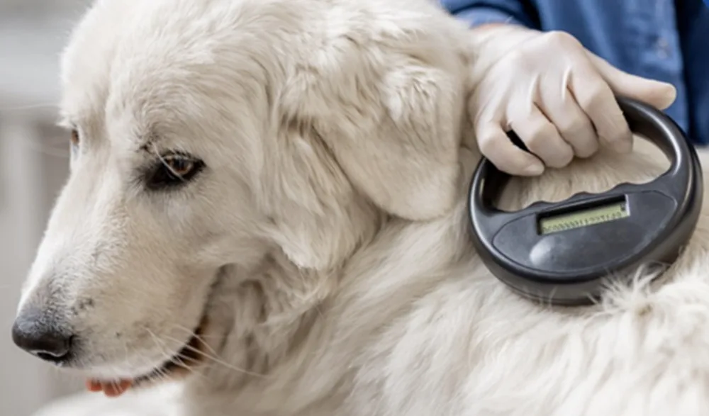 INBA. Abren inscripciones para el curso de Operador Renac para veterinarios.