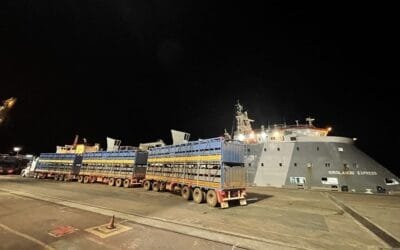 Heytesbury asegura la flota ganadera y refuerza la confianza en el sector