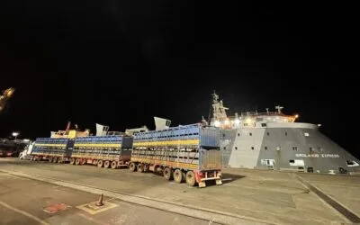 Heytesbury asegura la flota ganadera y refuerza la confianza en el sector