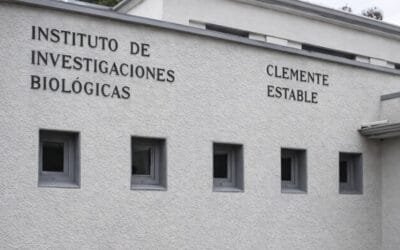 Leguminosas nativas y microbiología: un proyecto del Iibce para potenciar el campo uruguayo.