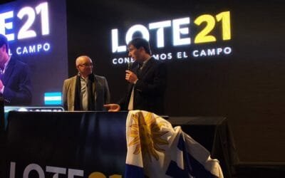 Lote 21 sigue rematando hoy, desde las 09.00 horas.