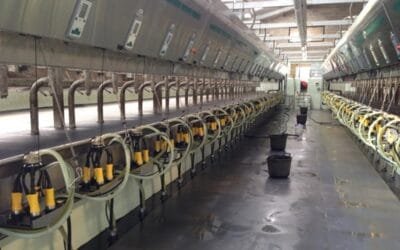 ADF Milking Sudamérica presenta hoy en Canelones su sistema de sellado y enjuague automático.