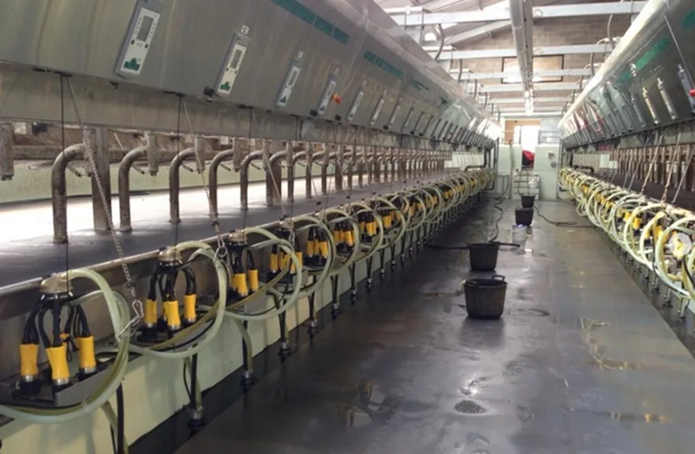 ADF Milking Sudamérica presenta hoy en Canelones su sistema de sellado y enjuague automático.