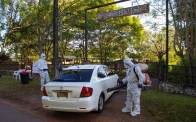 Paraguay realiza simulacro de caso de aftosa y asegura que está en condiciones de dejar de vacunar.
