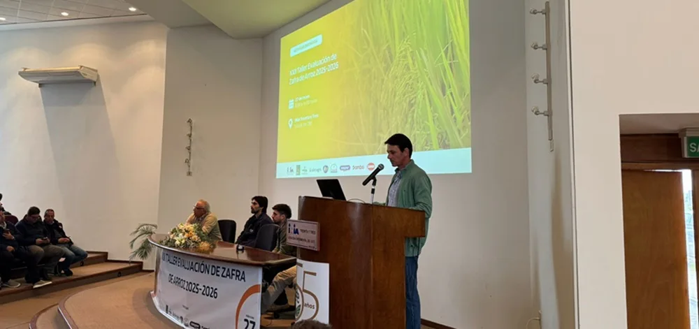 Los desafíos climáticos y coyunturales no impidieron que el sector arrocero logre un rinde de 9.338 kg/ha en la zafra 2025-2026.