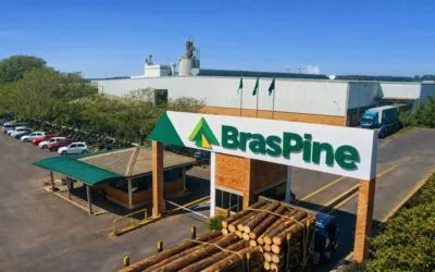 Rivera recibirá inversión forestal brasileña de US$ 250 millones.