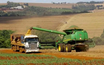 Brasil espera una cosecha histórica de soja.