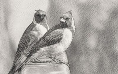 El canto de los pájaros reduce la ansiedad y paranoia.