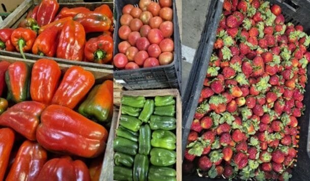 Tomate caro, frutilla a la baja y papa por las nubes: el mercado granjero en plena transición otoñal