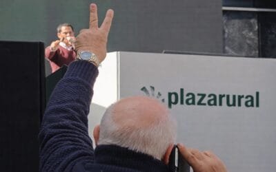 Plaza Rural vendió 6.000 terneros a muy buenos valores.