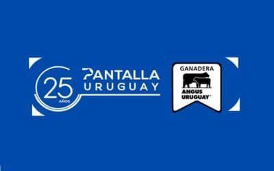 Pantalla Uruguay, con Ganadera Angus, rematará 5.279 vacunos, el miércoles 13.