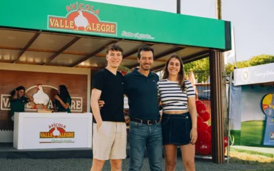 Faena avícola al máximo: exceso de oferta y márgenes negativos.