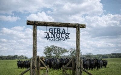 El jueves y viernes será la Gira Angus 2026.