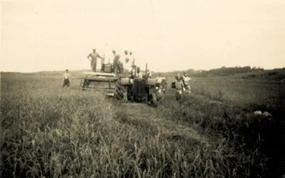 IRGA cumplió 86 años en la innovación del arroz en Rio Grande do Sul.