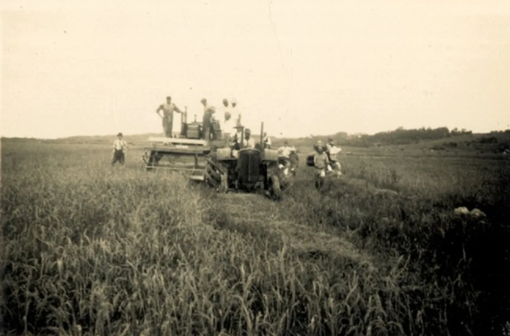 IRGA cumplió 86 años en la innovación del arroz en Rio Grande do Sul.