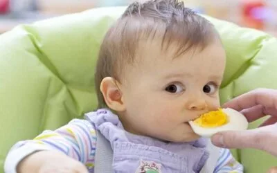 Australia le gana a la alergia al huevo en niños y reduce el número de casos al cambiar de estrategia y fomentar su consumo desde temprana edad.