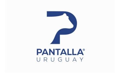 En Pantalla Uruguay, el promedio de los terneros subió 1,6%, y de las terneras 2,2%.